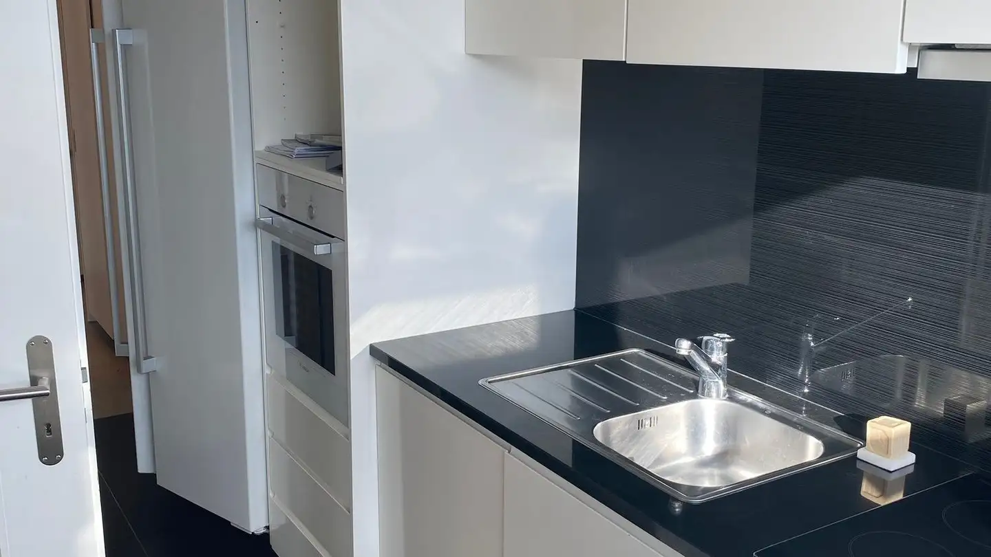 Appartamento in affitto - Avenue Ernest- Pictet, 1203 Genève - Foto 2