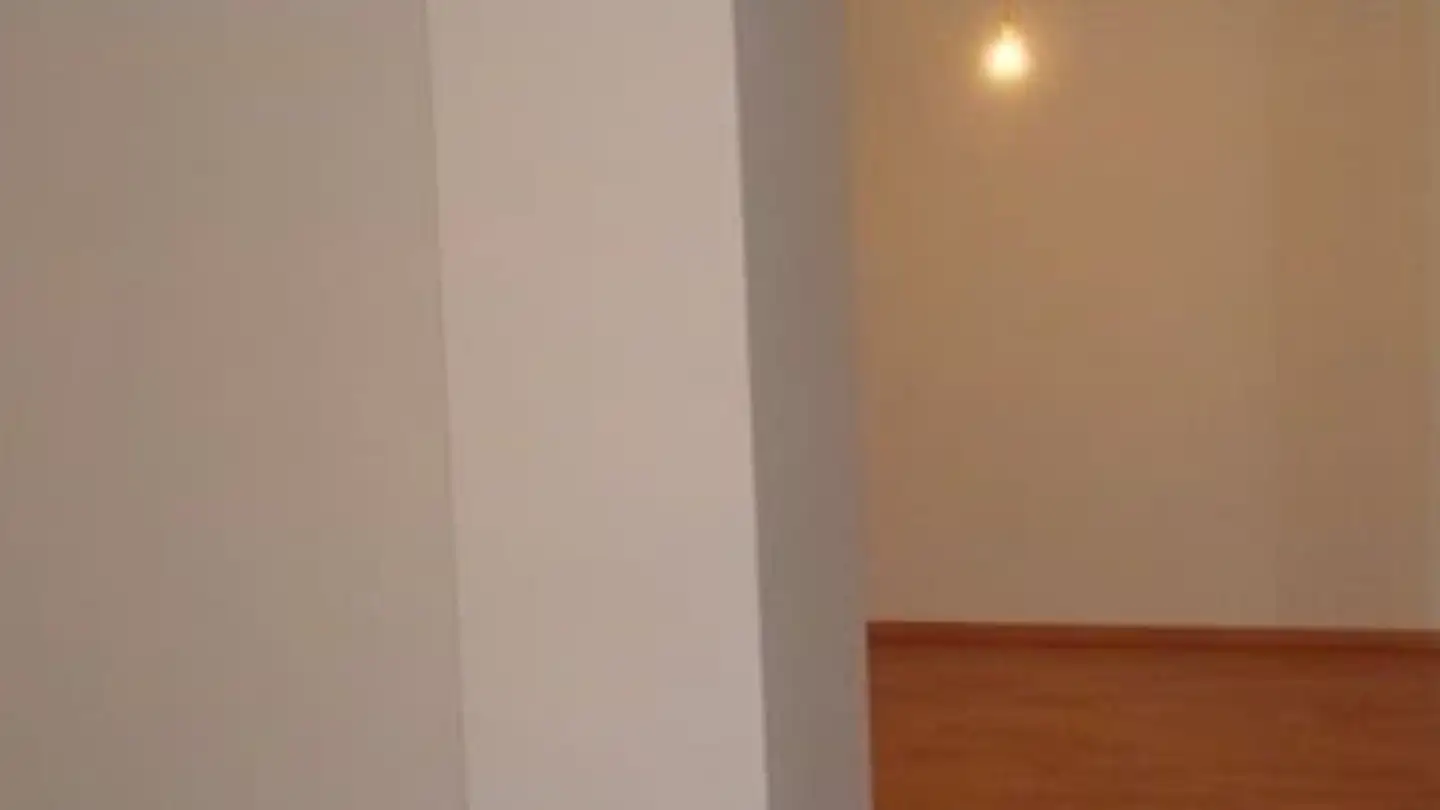 Apartment for rent - 8156 Oberhasli - Photo 3