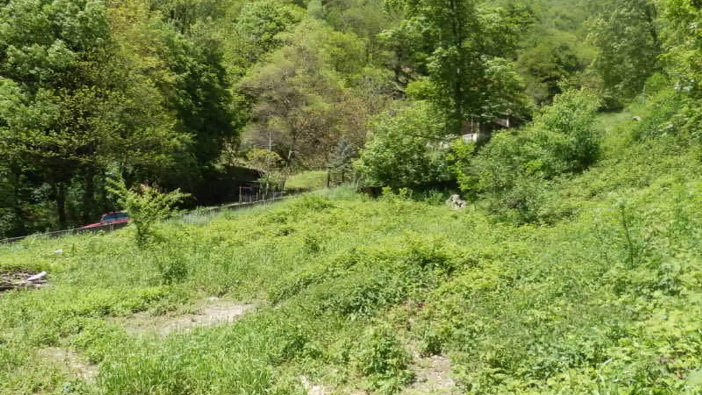 Terreno edificabile in vendita - 6959 Maglio di Colla - Photo 3