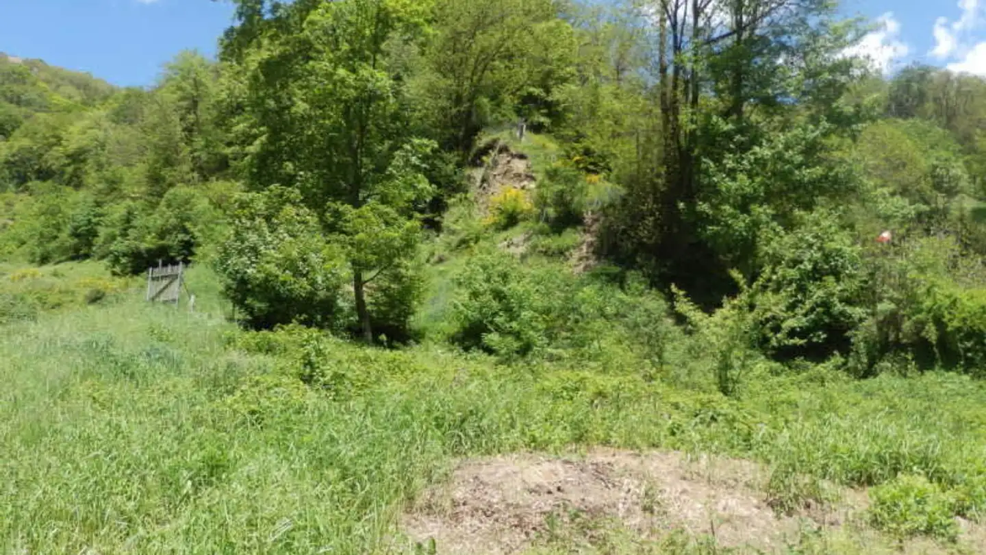 Terreno edificabile in vendita - 6959 Maglio di Colla - Photo 2