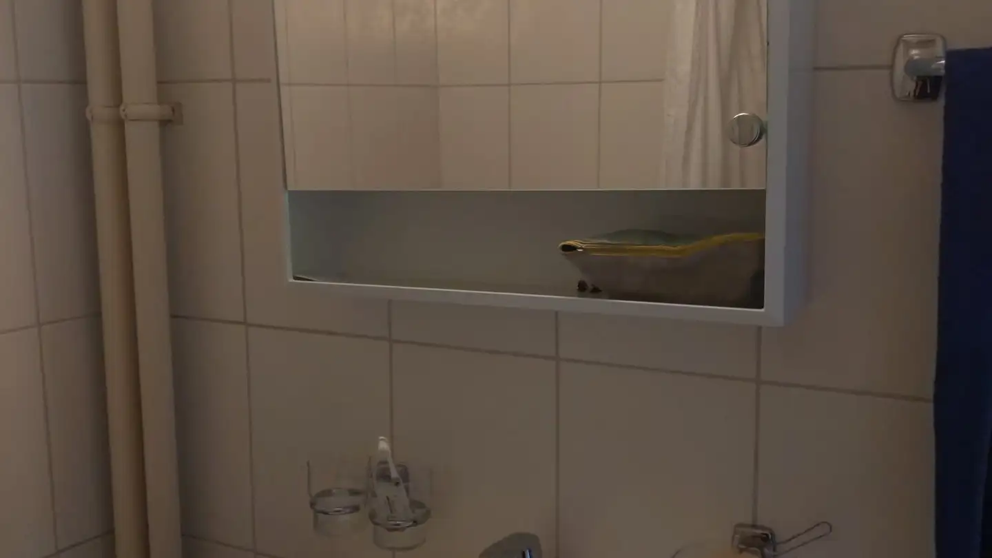 Wohnung mieten - Rue De La Paix 8, 1820 Montreux - Foto 3