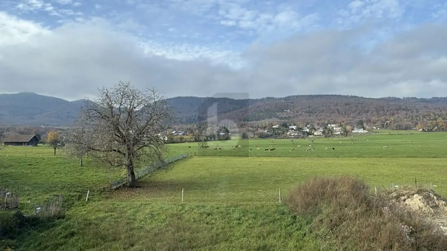 Villa in affitto - 1271 Givrins