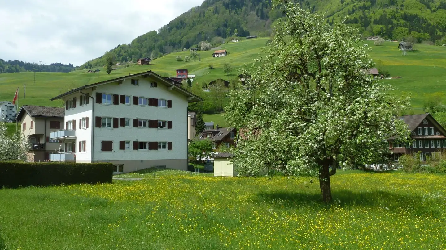 Appartement à louer - Oberaustrasse 7, 6383 Dallenwil