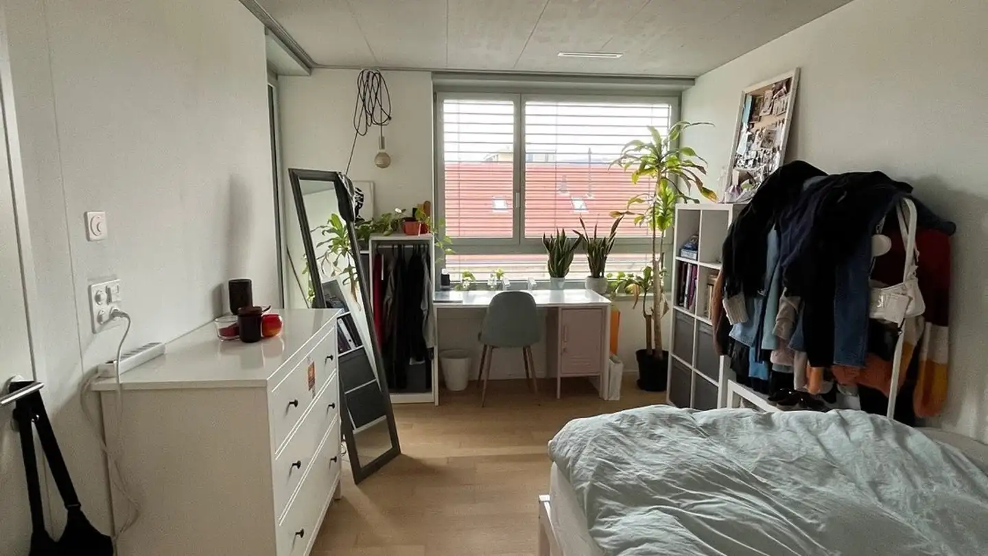 Stanza singola in affitto - 8038 Zürich - Foto 4