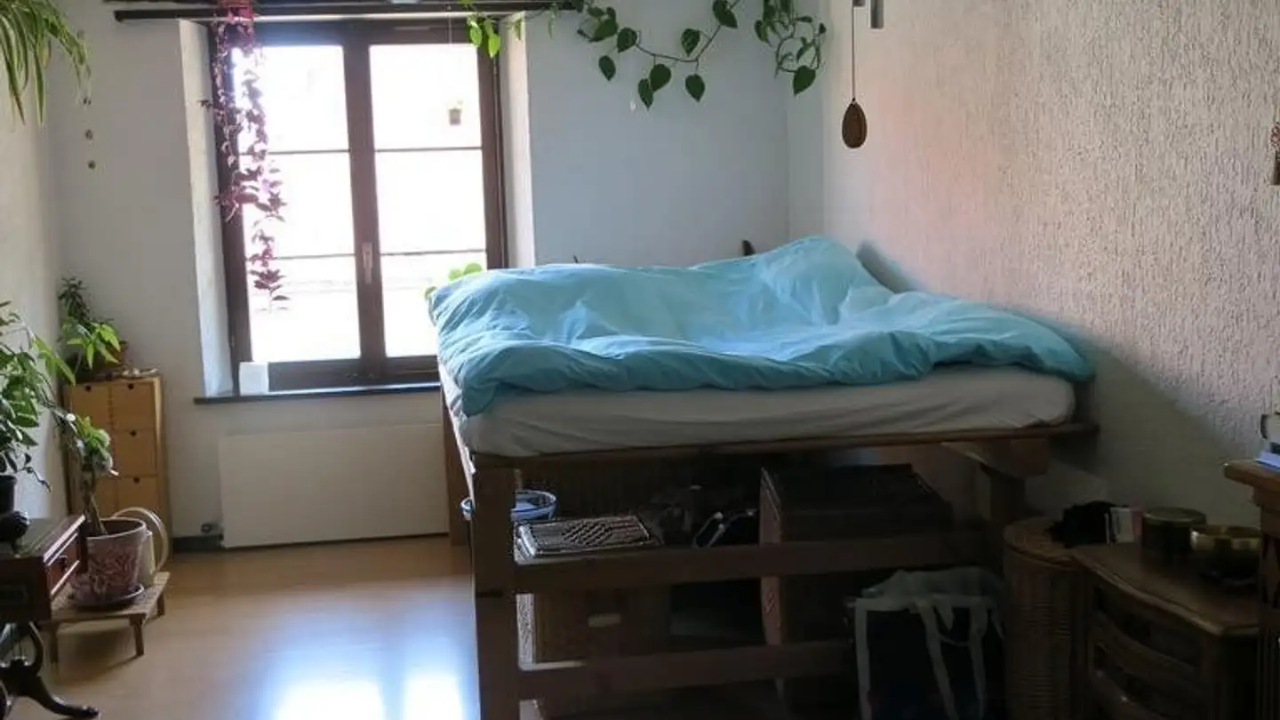 Chambre à louer - Lindenstrasse, 8162 Sünikon