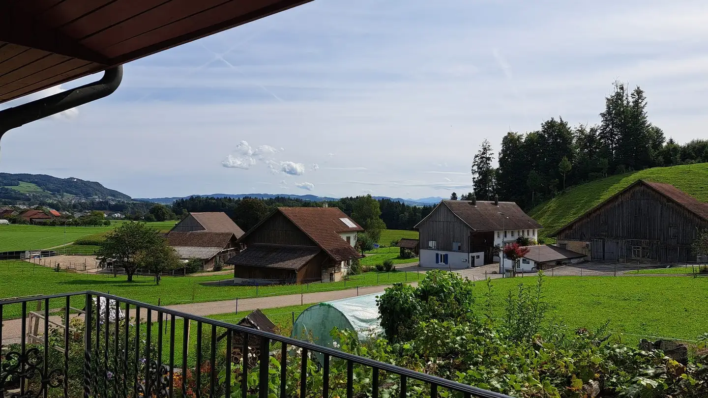 Appartement à louer - Huzenwilerstrasse 12, 8522 Häuslenen - Photo 3