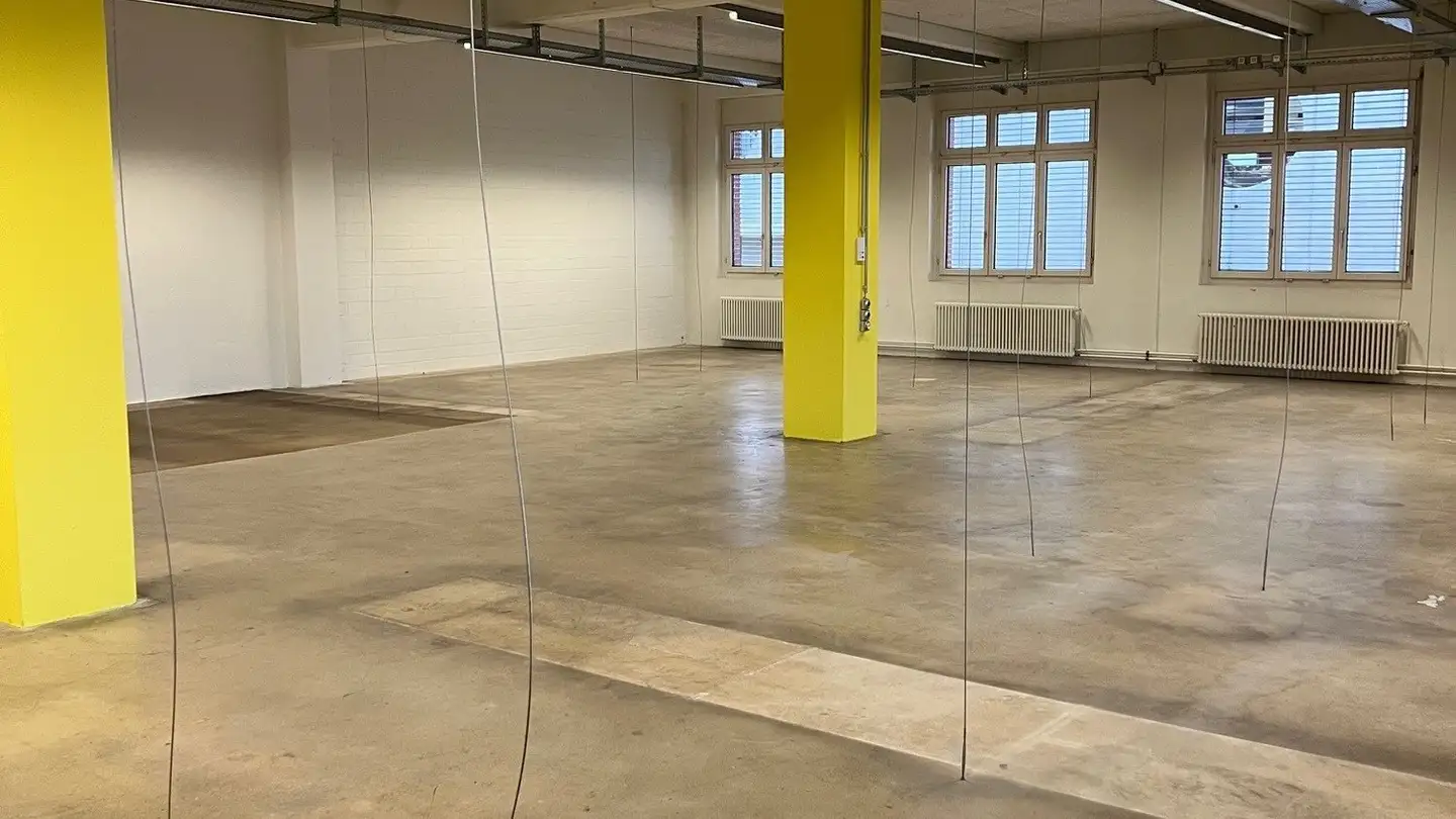 Workshop for rent - Binzstrasse 23, 8045 Zürich - Photo 2