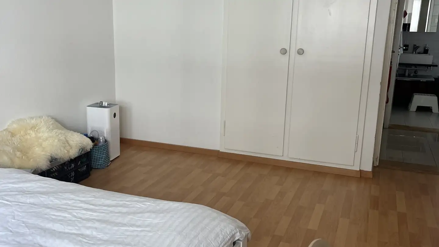 Stanza singola in affitto - Lerchenstrasse 21, 8045 Zürich - Foto 3