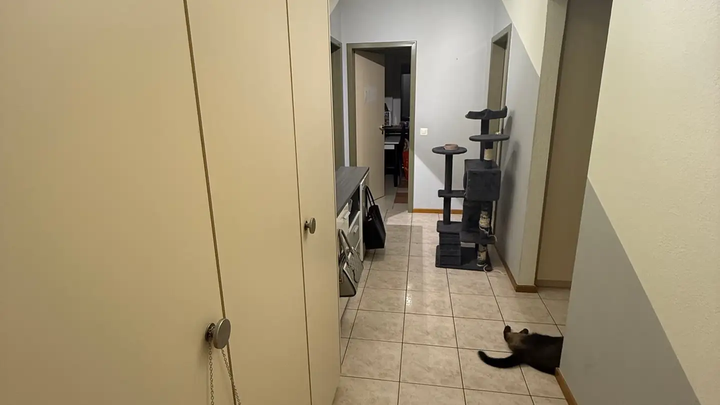 Appartamento in affitto - 6826 Riva San Vitale - Foto 4