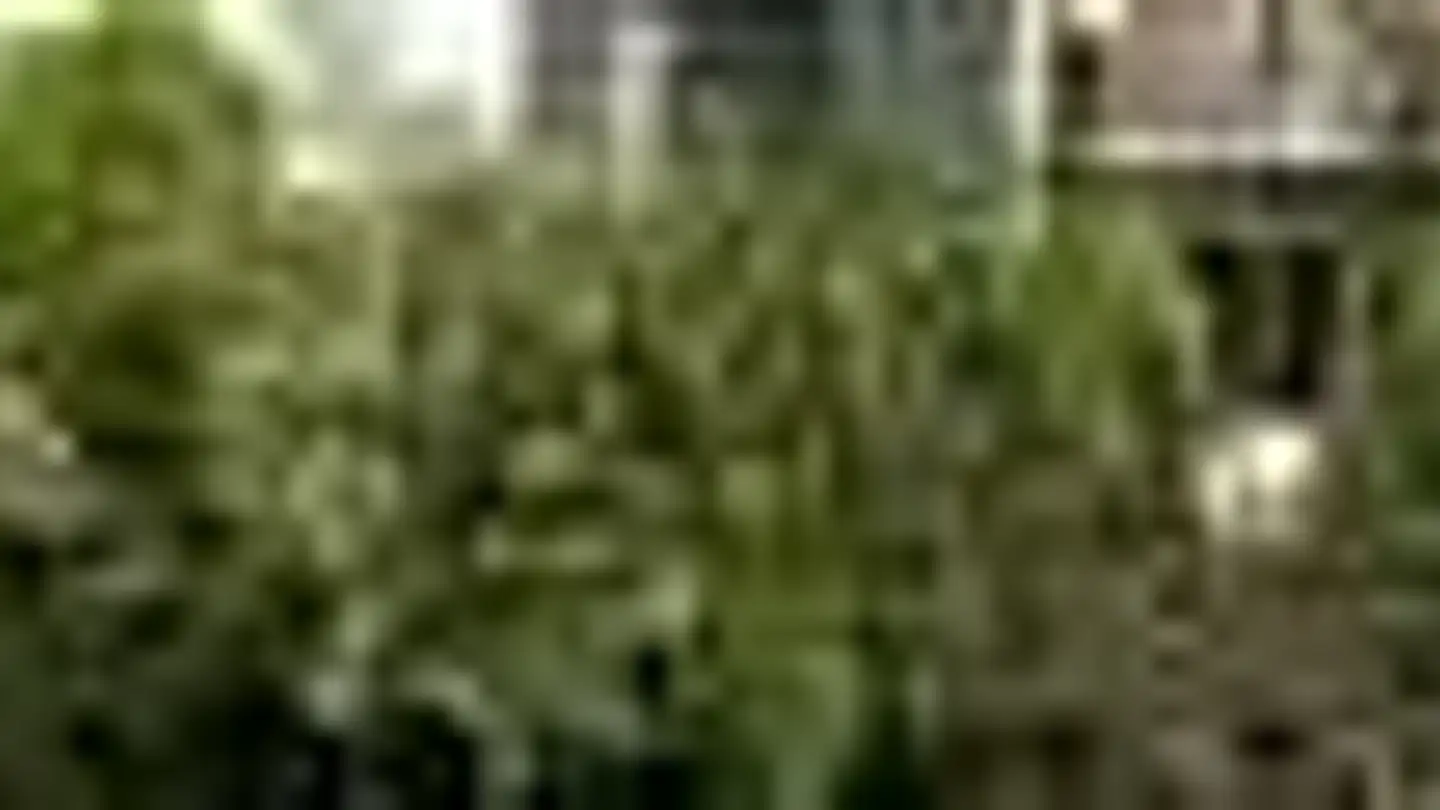 Wohnung mieten - Höhtal 3, 5420 Ehrendingen