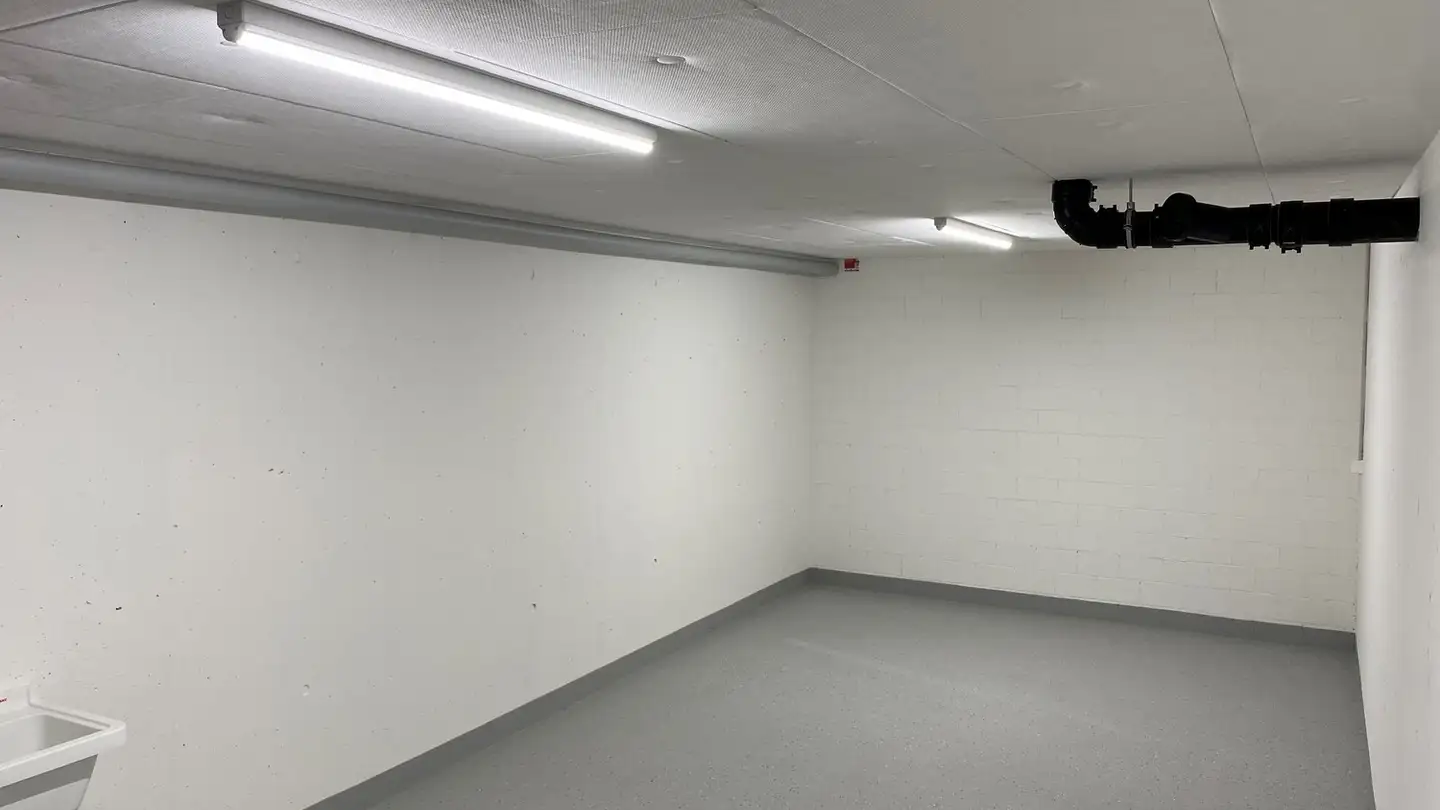 Commercial for rent - Hammergutstrasse 17, 5621 Zufikon - Photo 3