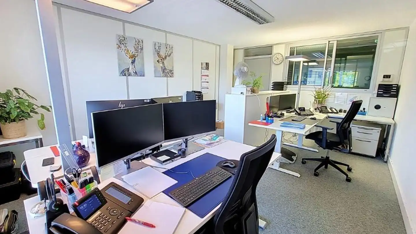 Bürofläche mieten - Le Piolet 34, 1470 Estavayer-le-Lac - Foto 3