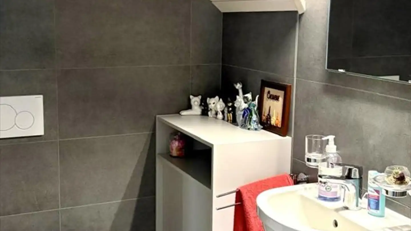 Appartamento in vendita - 1170 Aubonne - Photo 3