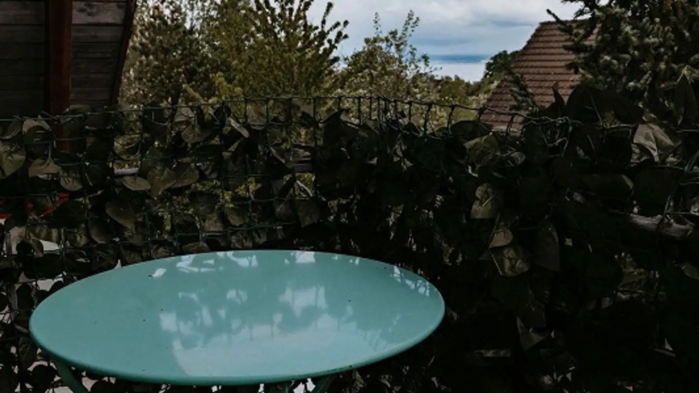 Edificio residenziale in vendita - Feldstrasse 2, 8585 Schönenbaumgarten - Photo 3