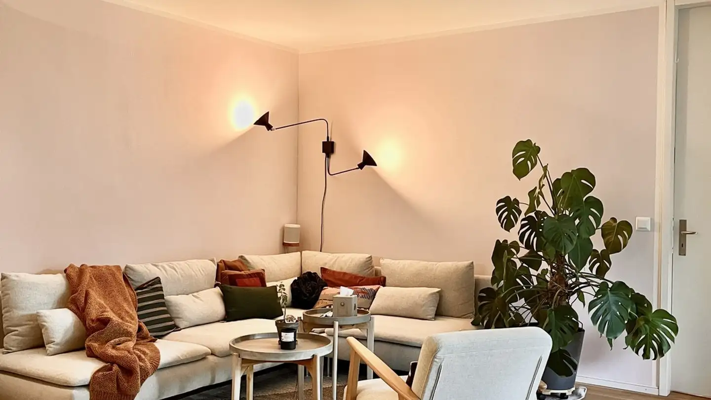 Appartamento in affitto - 8047 Zürich