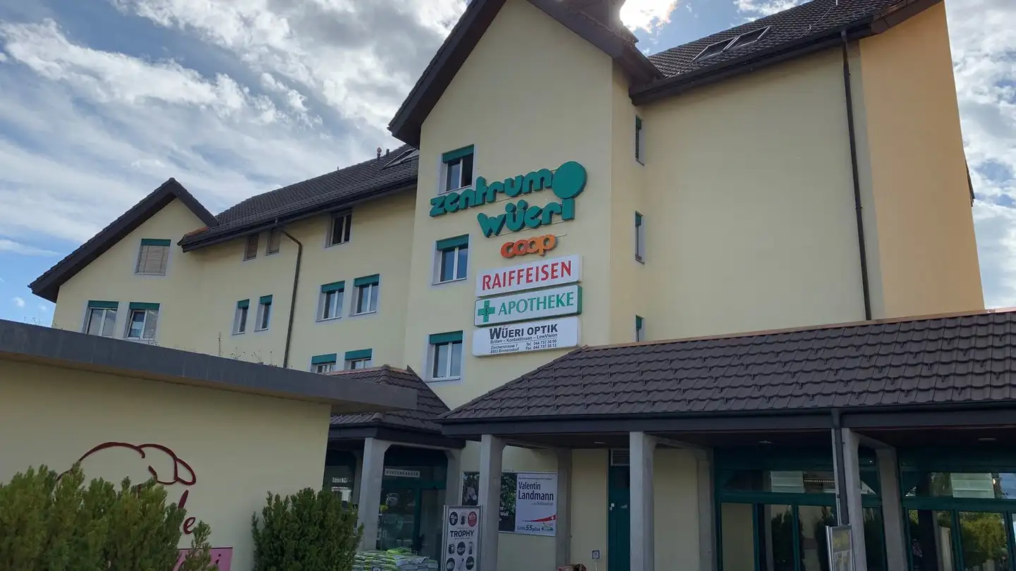 Duplex in affitto - Zürcherstrasse 9, 8903 Birmensdorf ZH