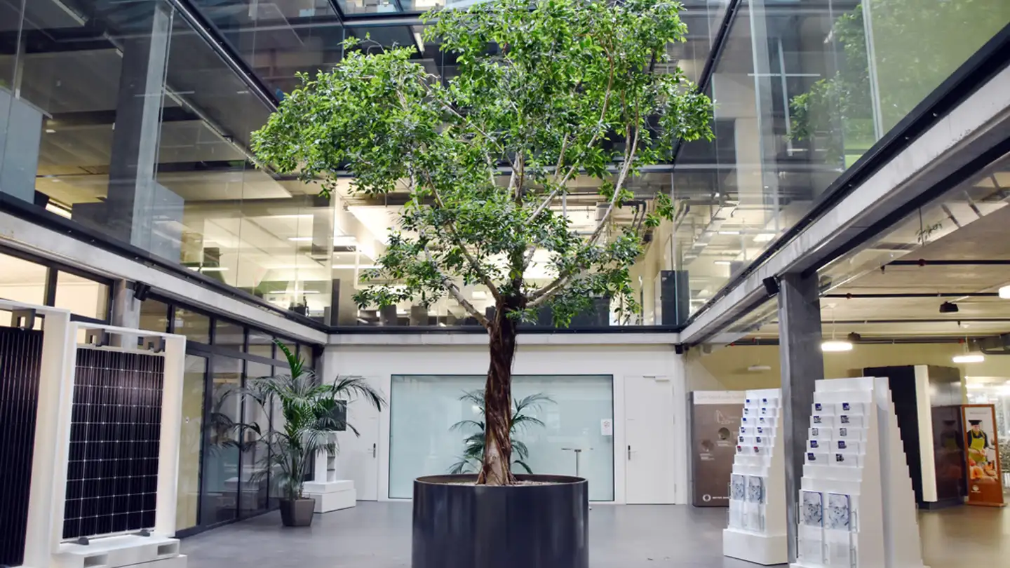 Office space for rent - Schorenstrasse 39, 3645 Gwatt (Thun) - Photo 2