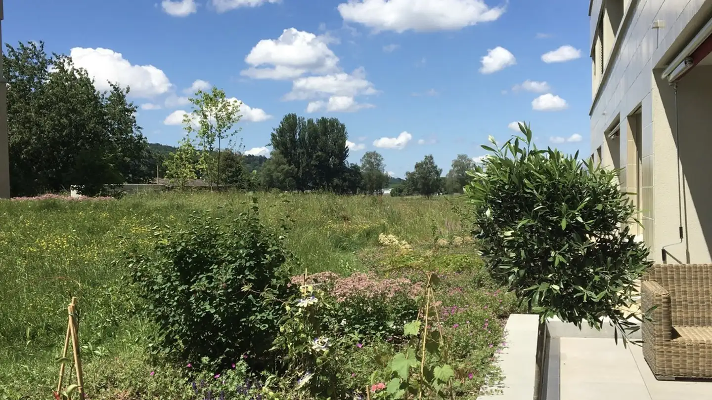 Zimmer mieten - 8117 Fällanden - Foto 2