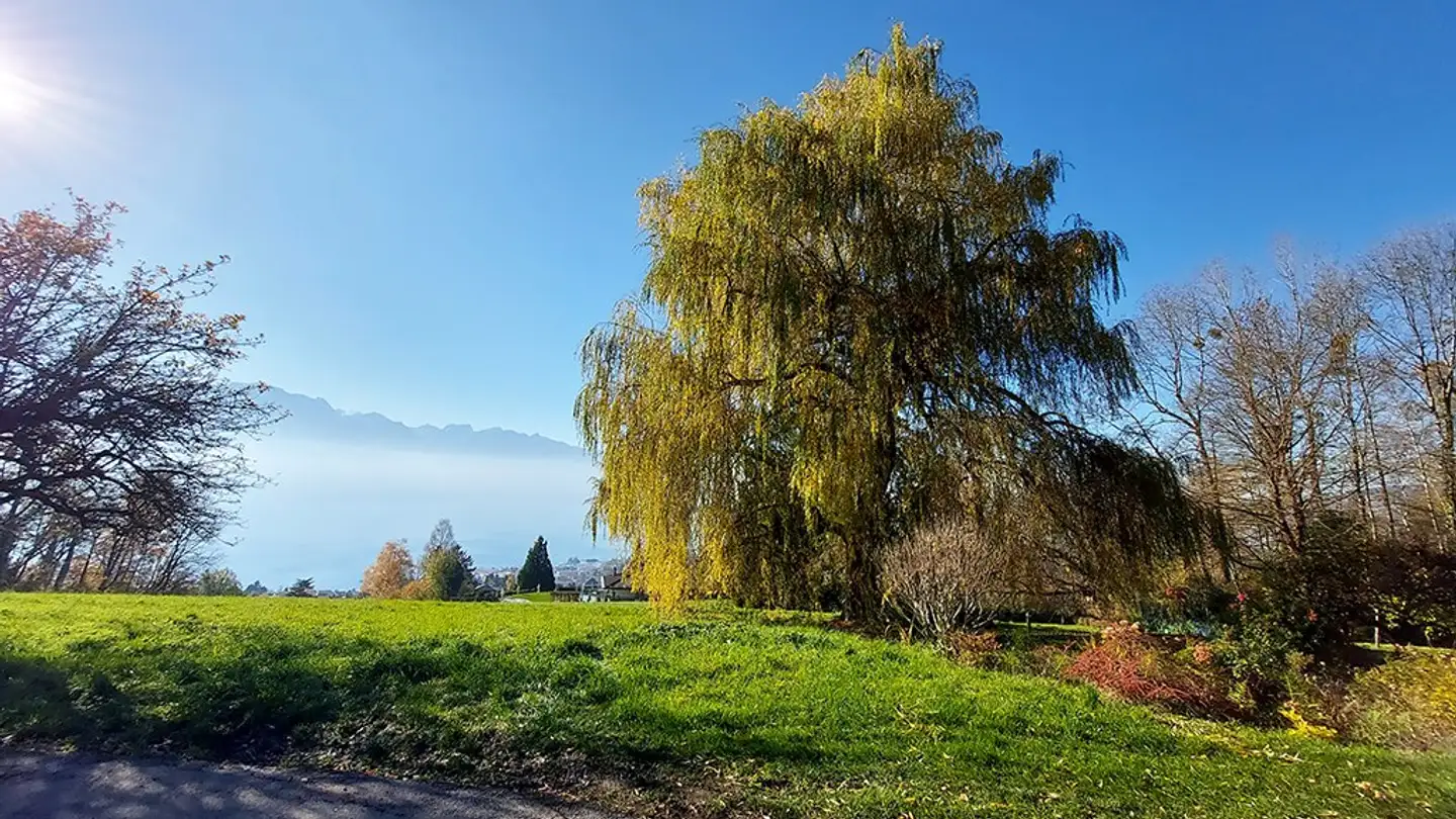 Villa for sale - 1807 Blonay