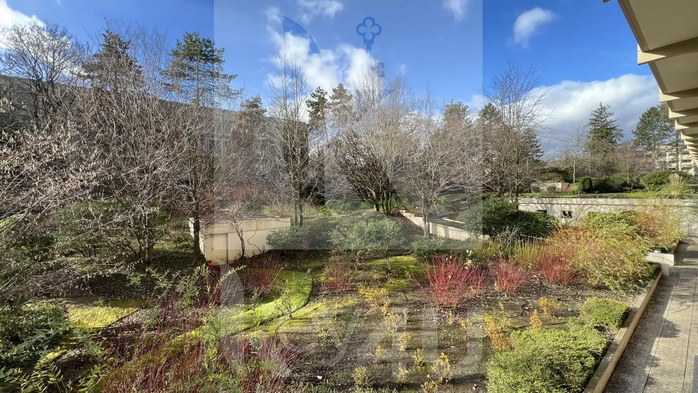 Wohnung kaufen - 1209 Genève