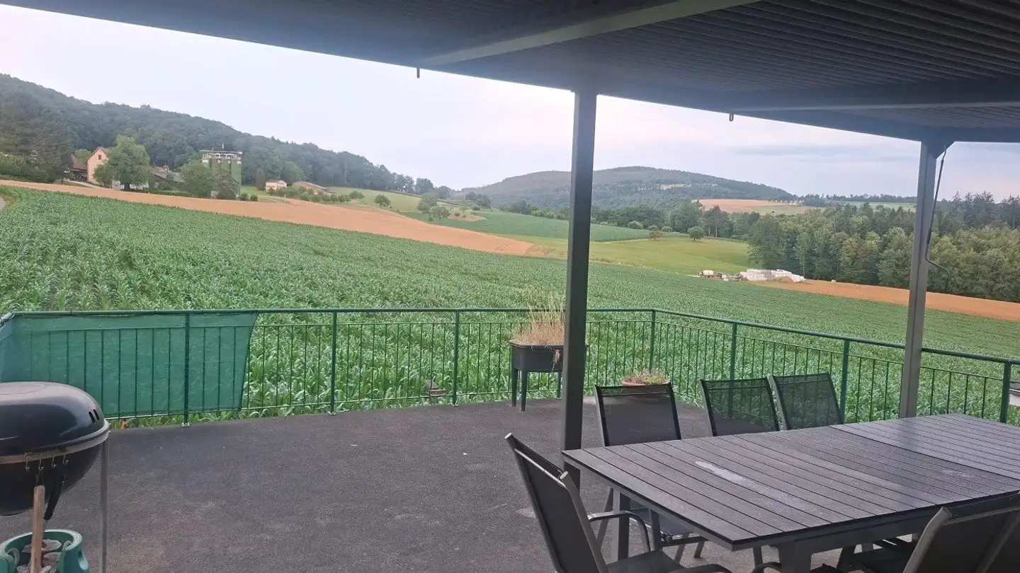 Appartamento in affitto - Sormatte 10, 4224 Nenzlingen - Foto 3