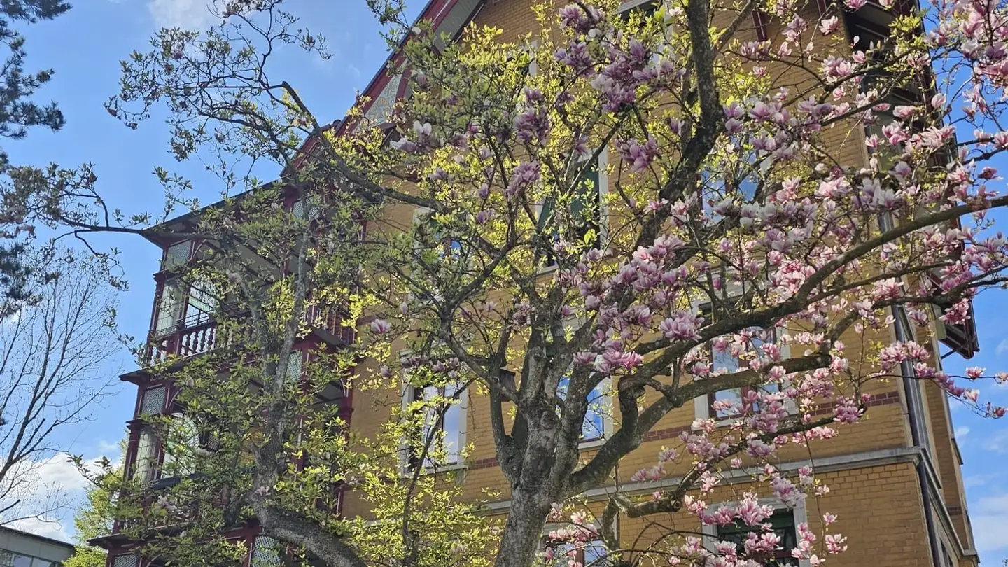 Apartment for rent - 8820 Wädenswil - Photo 2