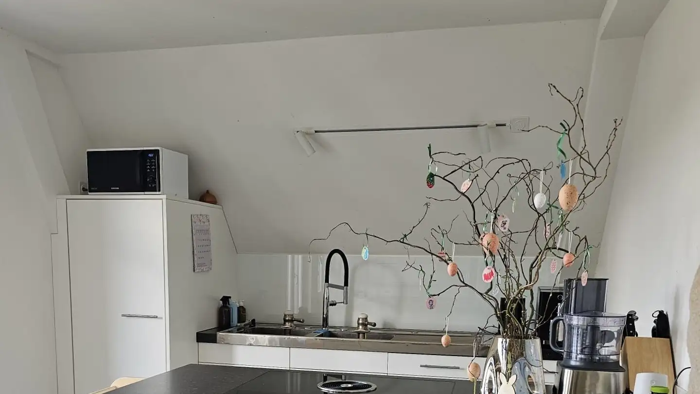 Apartment for rent - 8820 Wädenswil - Photo 4