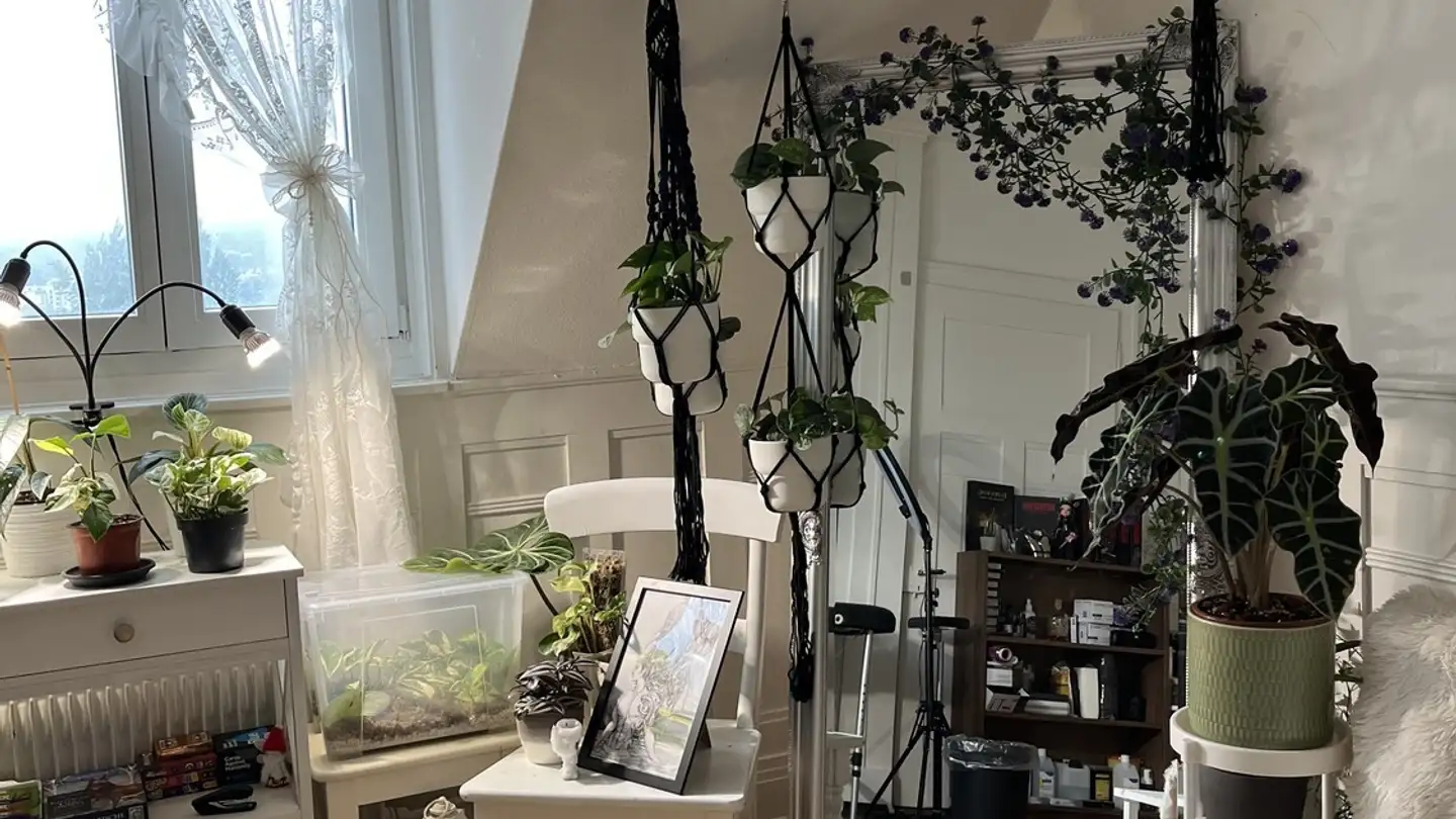 Chambre à louer - 9008 St. Gallen