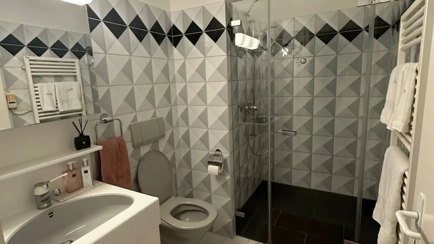 Appartamento in affitto - Risiweg, 8706 Meilen - Foto 4