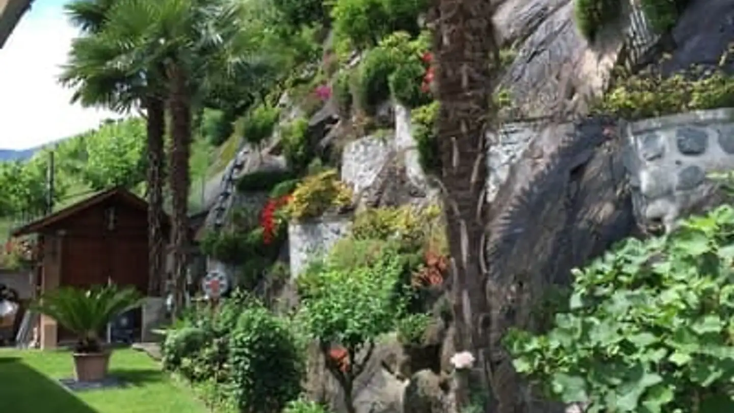 Appartamento in affitto - Via Nosette 7b, 6596 Gordola - Photo 2