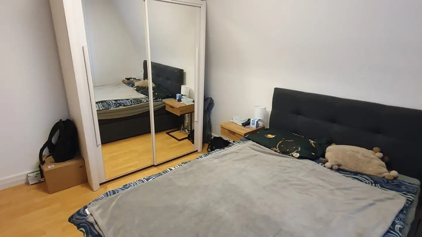 Chambre à louer - Limmattalstrasse 283, 8049 Zürich - Photo 2