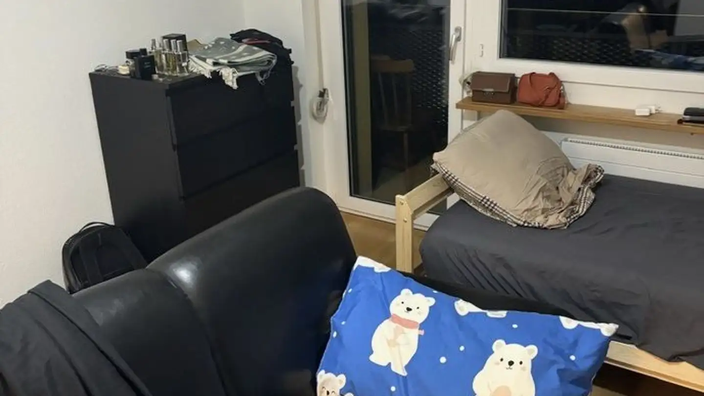 Appartement à louer - Feldstrasse 43, 8400 Winterthur - Photo 3