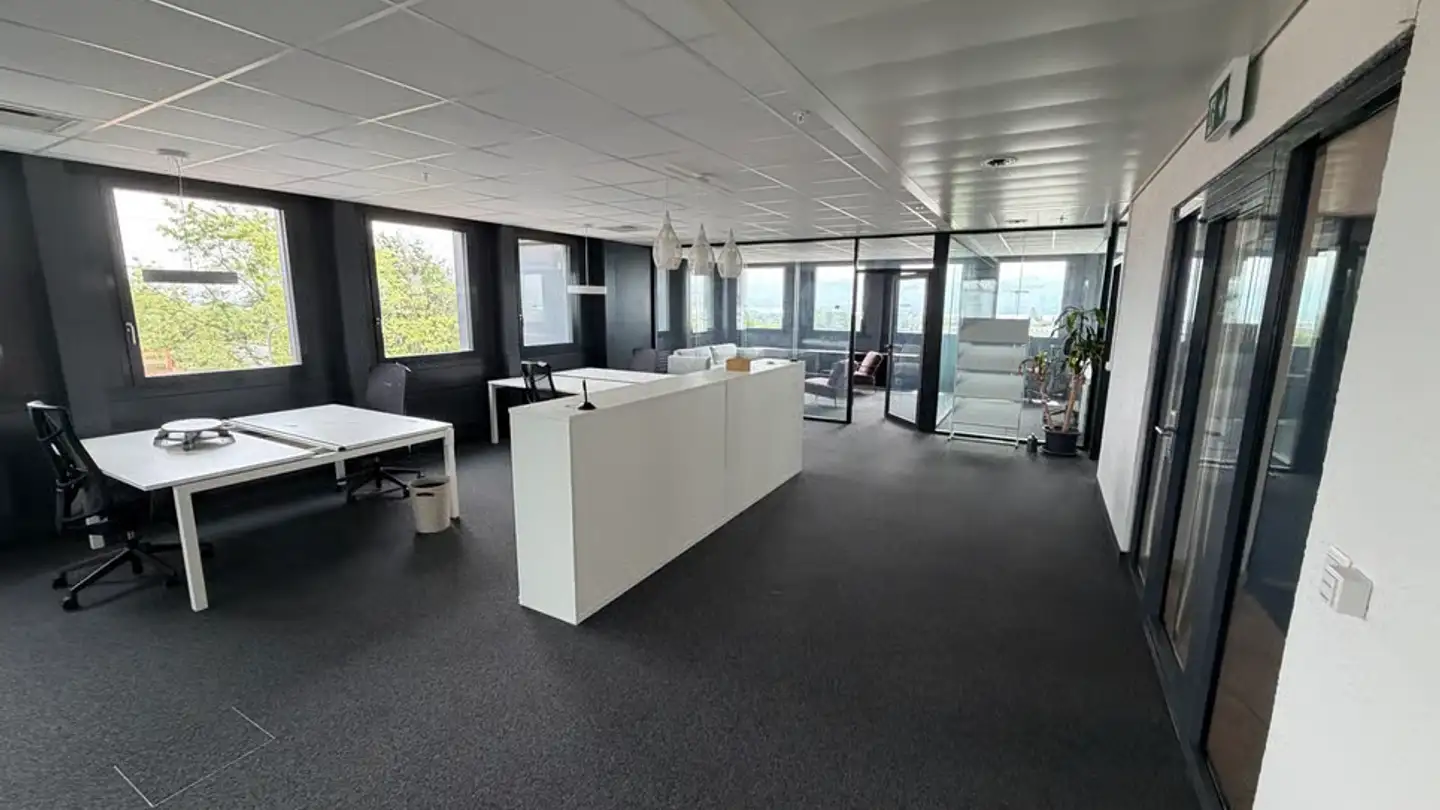 Commercial for rent - Chemin De La Vuarpillière 29, 1260 Nyon