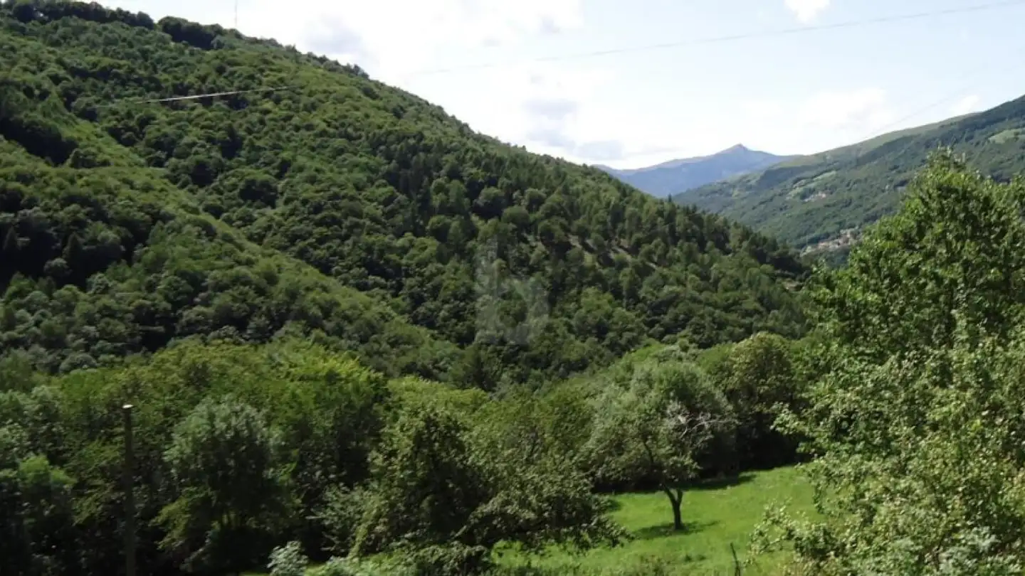 Terreno edificabile in vendita - Certara, 6959 Certara - Photo 2