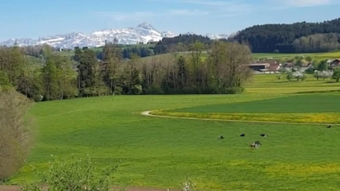 Appartement à louer - Weingarten 52, 9504 Friltschen - Photo 2