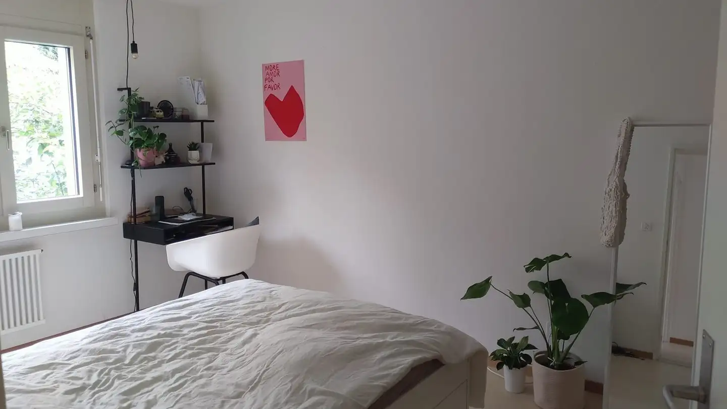 Chambre à louer - 8049 Zürich