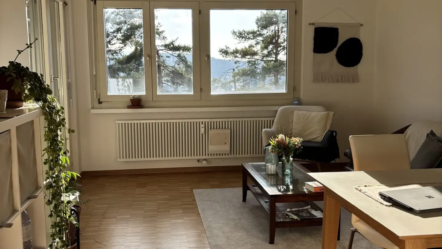 Chambre à louer - 8049 Zürich - Photo 2