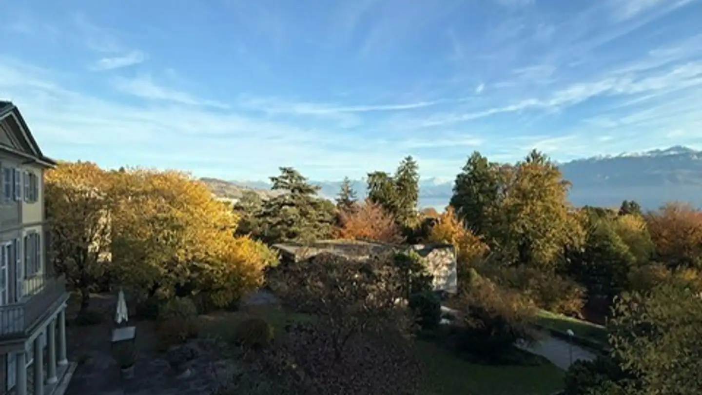 Stanza singola in affitto - Chemin De Montolivet 19, 1006 Lausanne - Photo 3