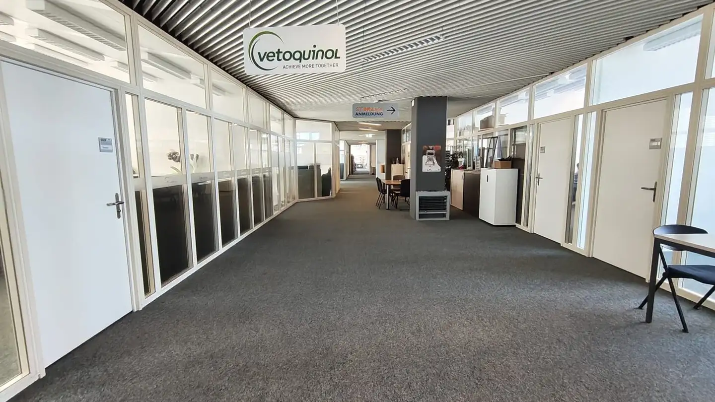 Bureau à louer - Freiburgstrasse 251, 3018 Bern - Photo 4