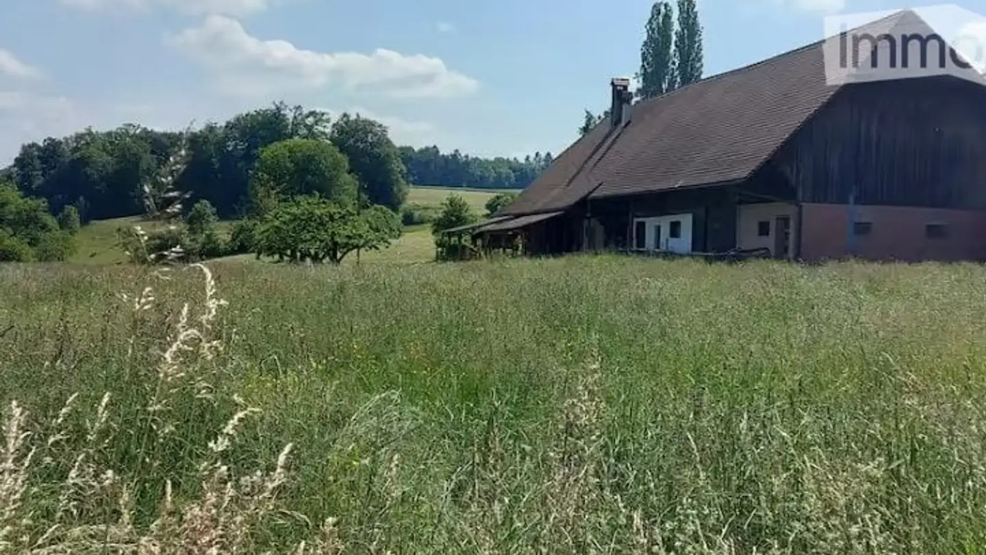 Stanza singola in affitto - 3213 Liebistorf - Foto 4