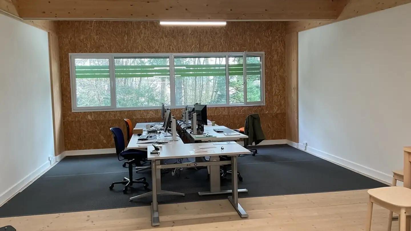 Spazio di archiviazione in affitto - Chemin Des Champs-Courbes 5, 1024 Ecublens VD