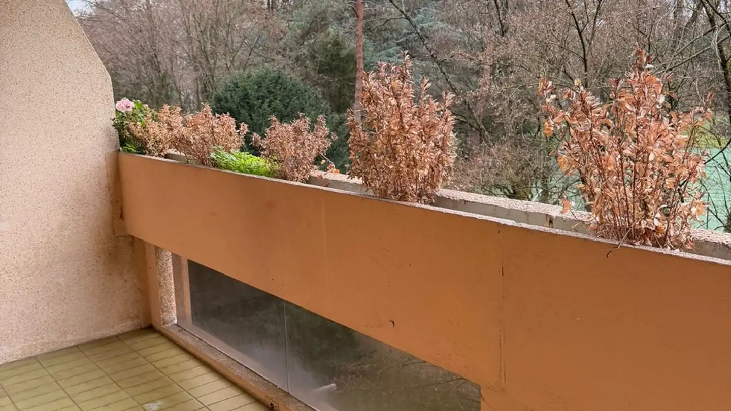 Wohnung mieten - Chemin De La Chevillarde, 1224 Chêne-Bougeries