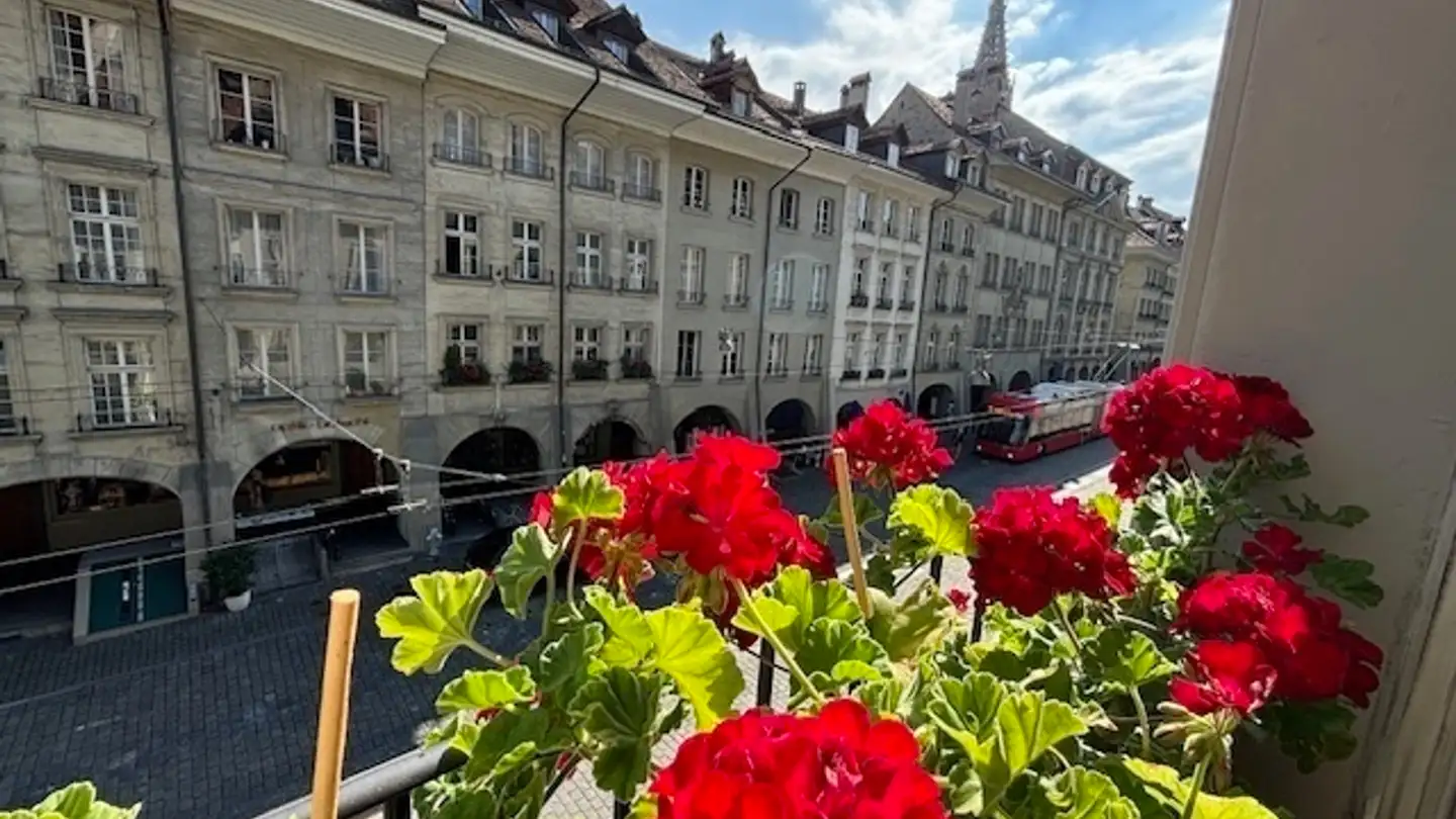 Furnished apartment for rent - 3011 Bern - Photo 3