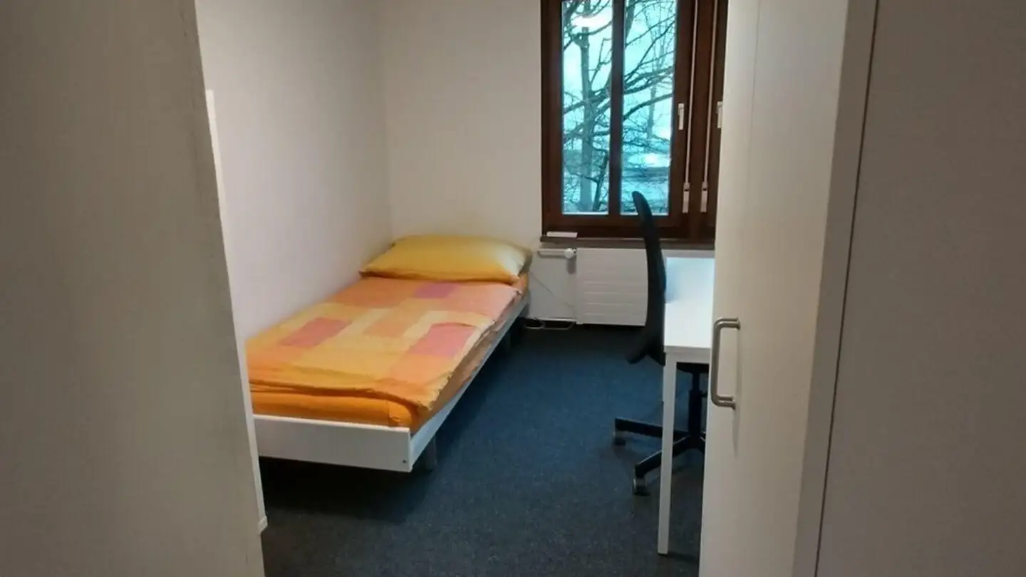 Single room for rent - Brühlbleichestrasse 11, 9000 St. Gallen
