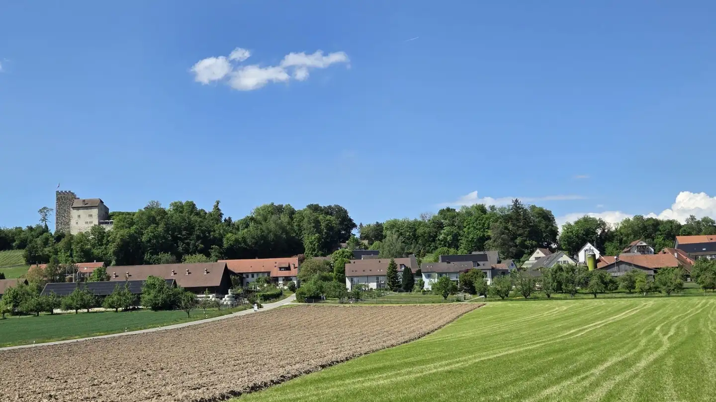 Constructible plot for sale - Mitteldorfstrasse, 5245 Habsburg - Photo 4