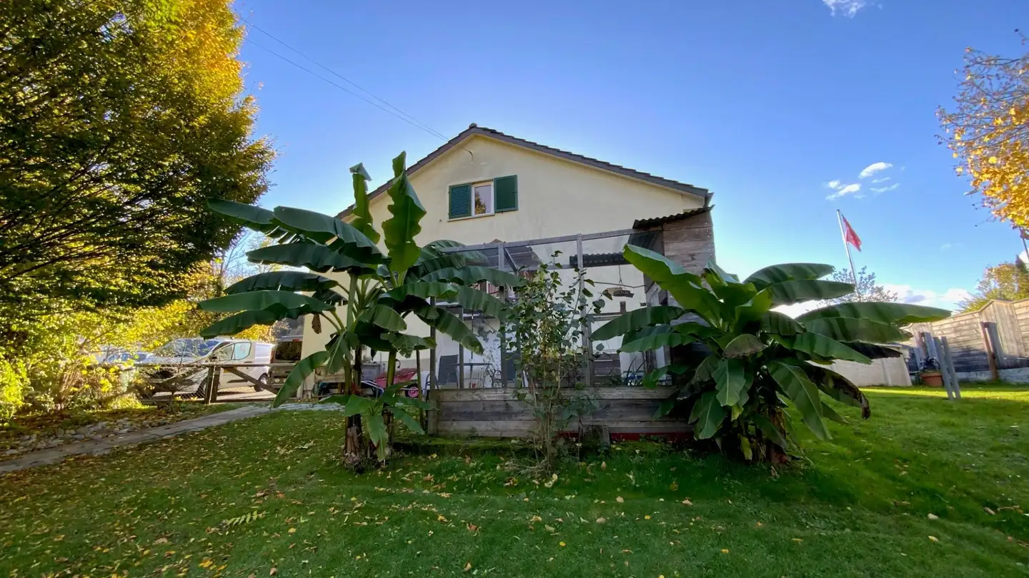 Casa singola in affitto - Oberhof 21, 8484 Weisslingen - Photo 3