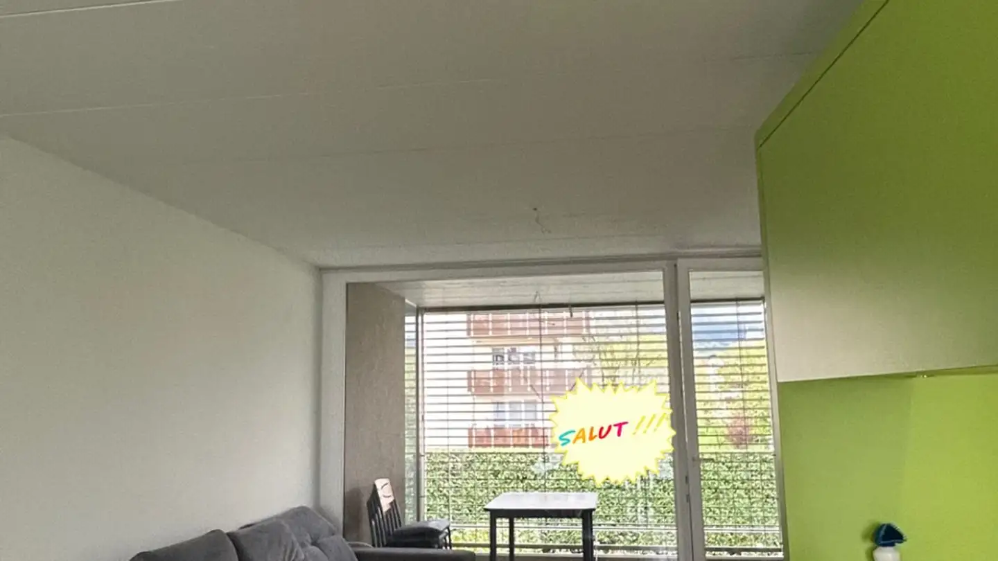 Wohnung mieten - Route D'aigle, 1880 Bex