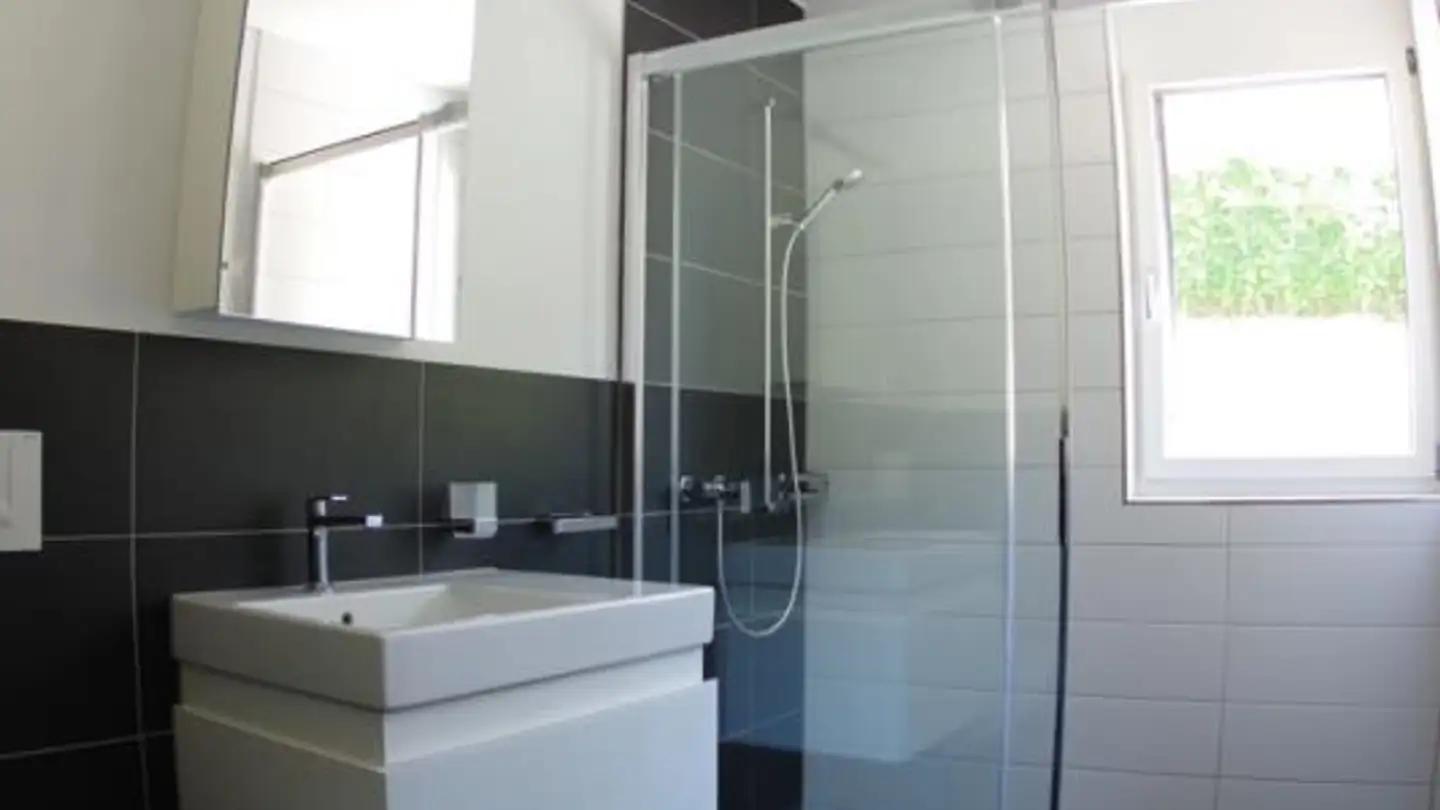 Apartment for rent - 4806 Wikon - Photo 2