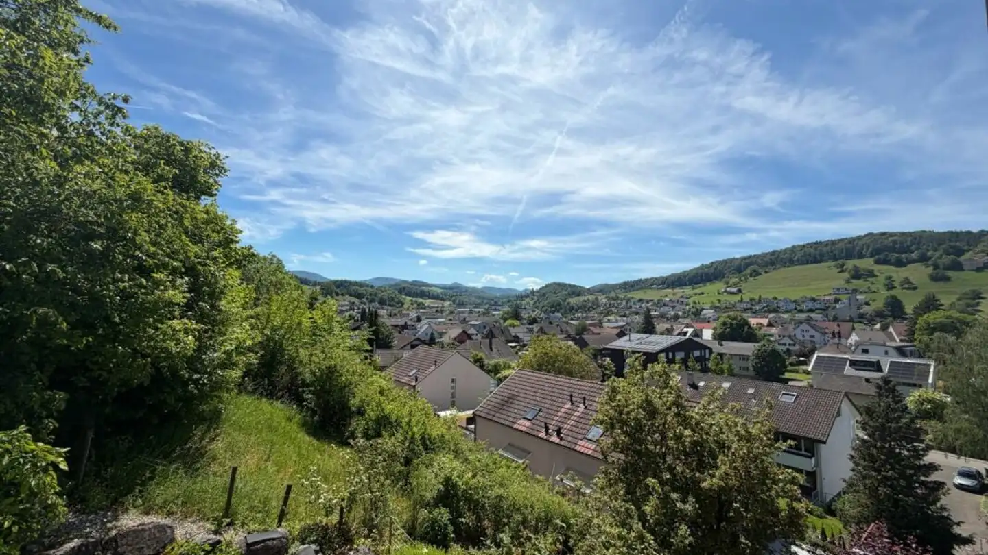 Maison individuelle à vendre - Ahornstrasse 1, 4416 Bubendorf - Photo 2
