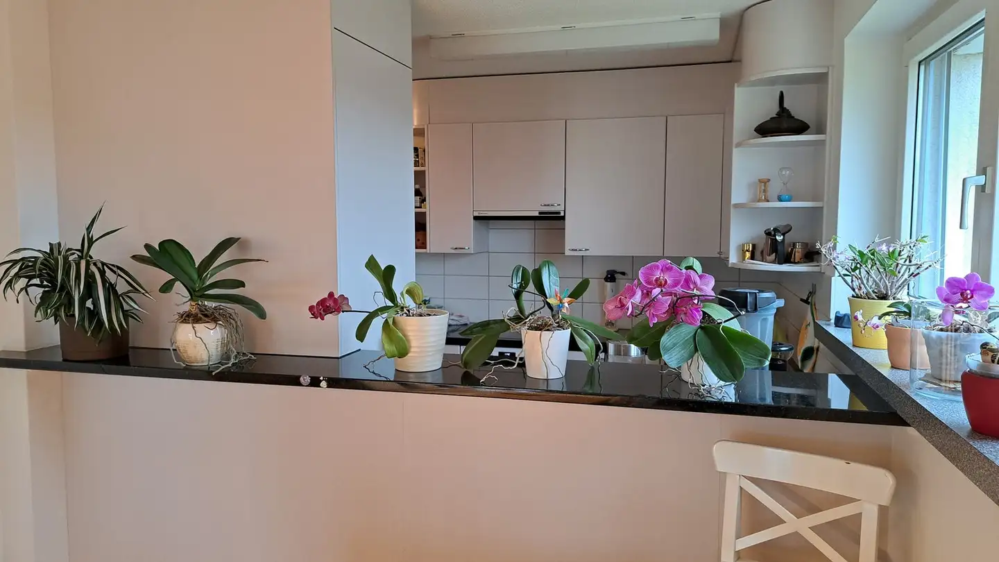 Single room for rent - 8603 Schwerzenbach - Photo 2